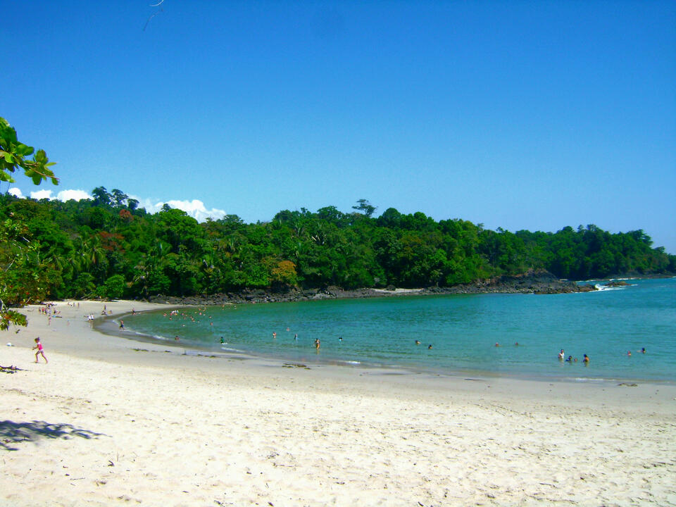 In this National Park, besides being able to take a swim at one of its beaches, it also has various trails to enjoy nature. Wildlife in Costa Rica