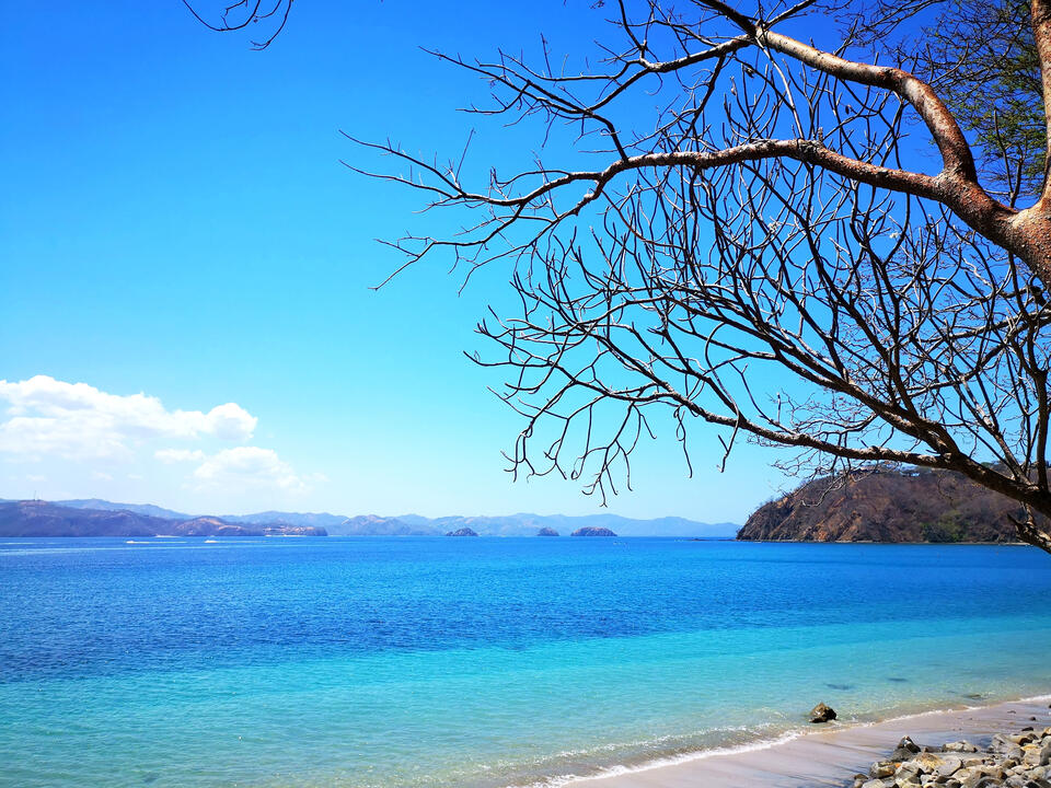The North Pacific coast of Costa Rica is one of the most visited beach areas, especially during summer between January and April. Nature and Wildlife in Costa Rica
