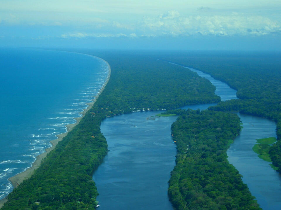 Tortuguero National Park is one of the most impressive in Costa Rica. Many people know it as the ‘Little Amazon.’ You can take boat, canoe, or kayak tours through its waterways to enjoy nature and look for wildlife such as monkeys, sloths, and birds. Natur
