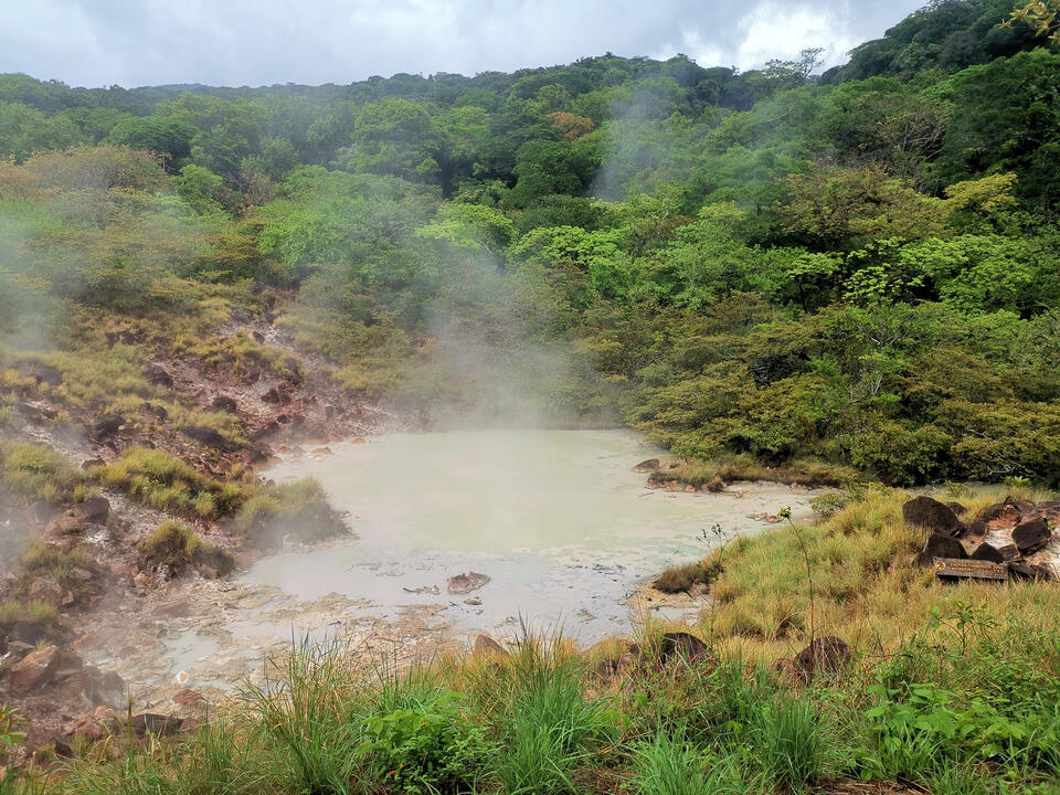 This national park has a trail where you can observe secondary activity from this volcano, such as fumarolic lagoons and mud pots. Nature and Wildlife in Costa Rica