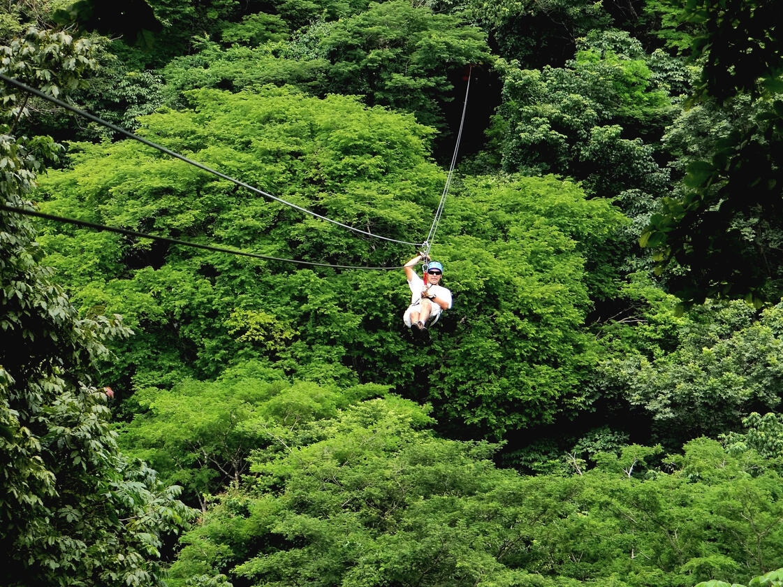Zipline Tour, also known as Canopy Tour, can be done in various parts of the country, such as Guanacaste, Arenal, and Monteverde. Nature and Wildlife in Costa Rica