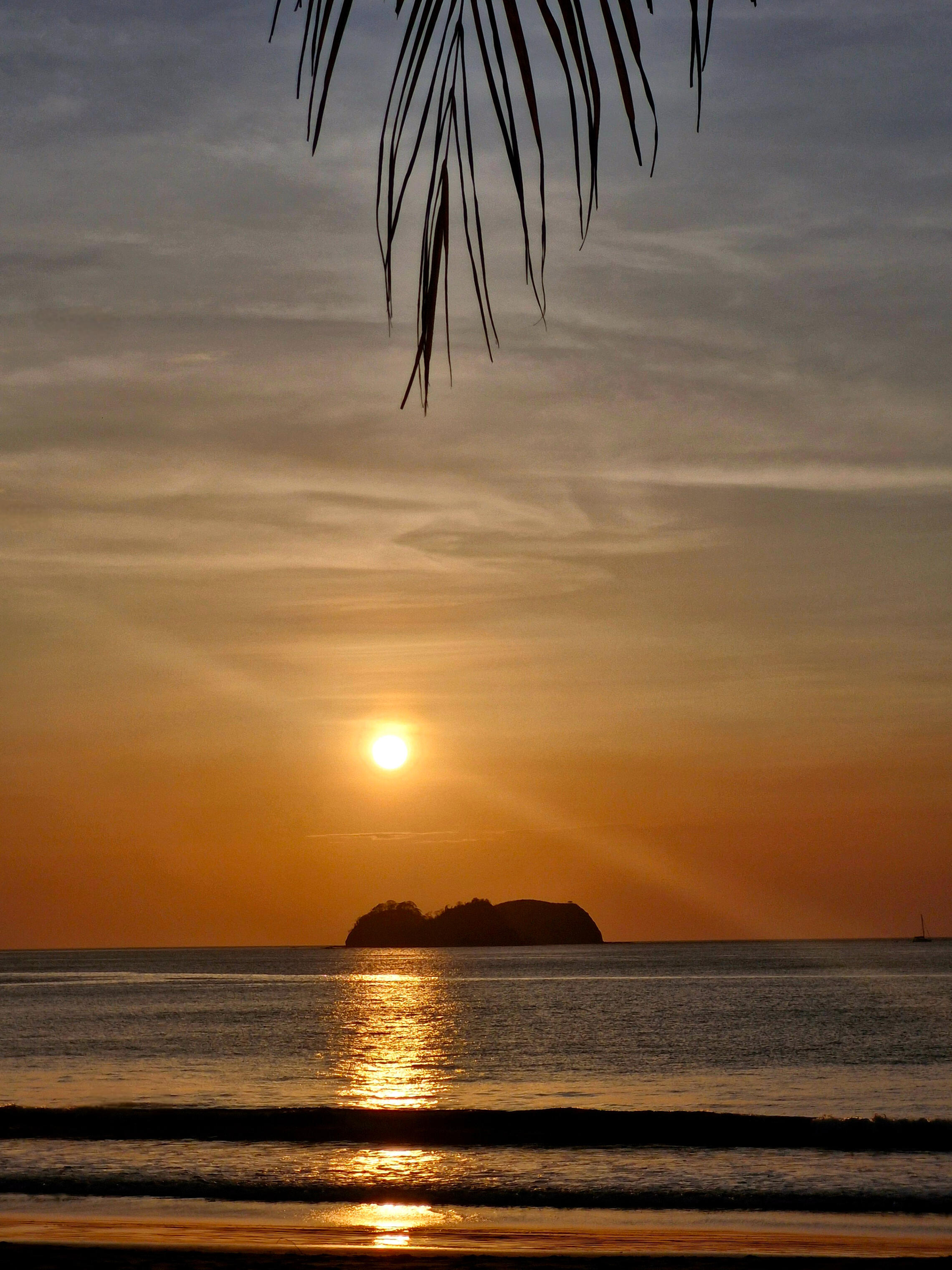 The sunsets on the Pacific coast are breathtaking, especially during our summer. Nature and Wildlife in Costa Rica.