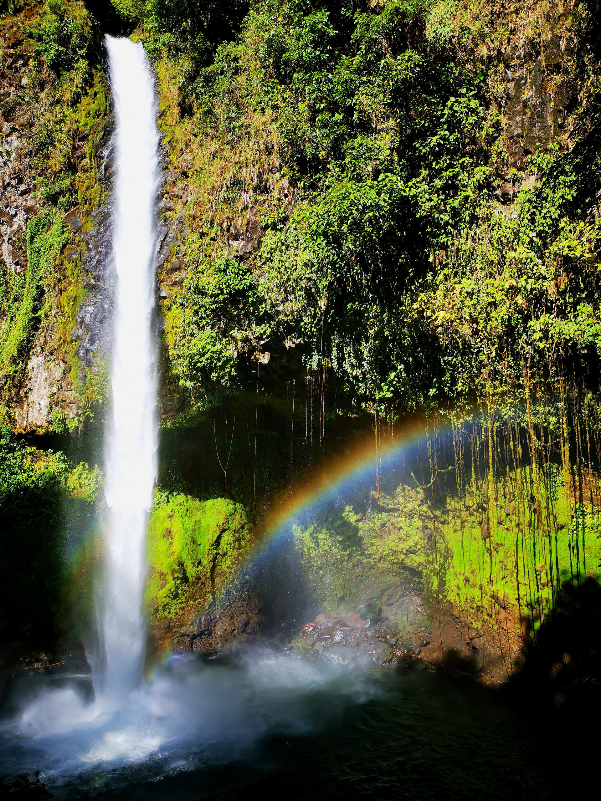 In Costa Rica, it is possible to find waterfalls in different parts of the country. In many of them, you can swim in their natural pools. Nature and Wildlife in Costa Rica